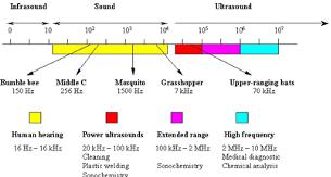 Ultrasonic project